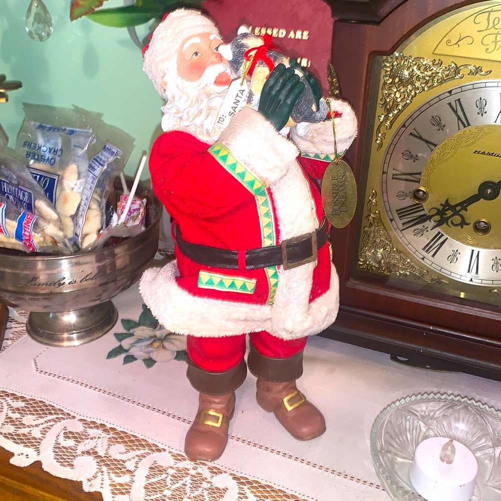9” tall Santa gets a cat!